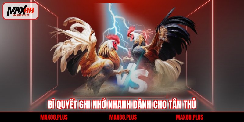 Bí quyết ghi nhớ nhanh dành cho tân thủ