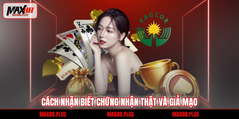 Giấy phép hoạt động 4 Cách nhận biết chứng nhận thật và giả mạo
