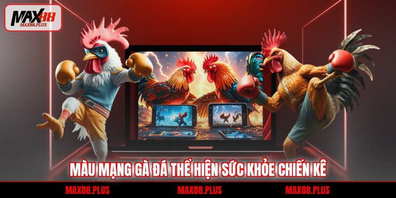 Màu mạng gà đá thể hiện sức khỏe chiến kê