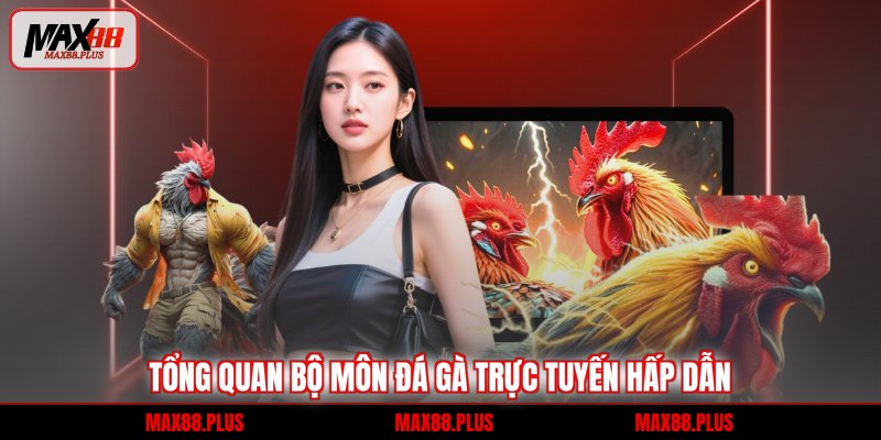 Tổng quan bộ môn đá gà trực tuyến hấp dẫn